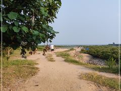 -红树林天天赶海