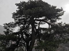 -秦岭终南山世界地质公园翠华山景区