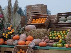 -中国天府农业博览园