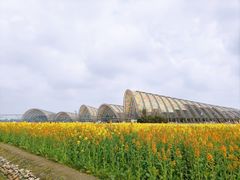 -中国天府农业博览园