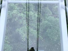 -呀诺达热带雨林