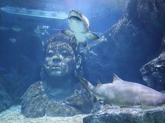 -暹罗海洋世界
