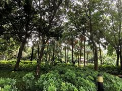 -黄埔荔枝公园
