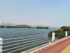 -贡湖湾湿地公园