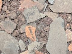 -盘龙城国家考古遗址公园