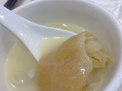 -凤城礼记鱼翅海鲜酒家(新马路总店)