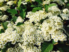 鹤壁迎宾馆-鹤壁迎宾馆