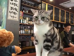 -咖法森林·咖啡  酒吧(天河店)