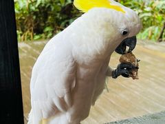 -普洱太阳河森林公园