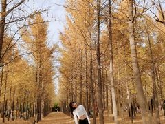 -汉景帝阳陵博物院