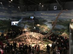 -自贡恐龙博物馆