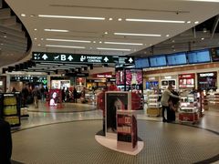 -米兰马尔彭萨国际机场