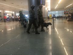 -英迪拉·甘地国际机场