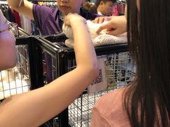 -远洋未来广场(育慧北路店)