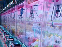 -城市动力(弘桥商城店)