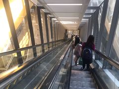 -上海浦东国际机场-T2航站楼