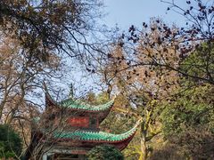 -岳麓山风景名胜区