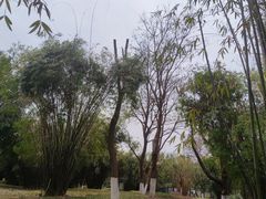 -堤角公园