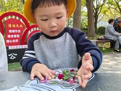 -豆初托育园 Baby Bean Day care Center