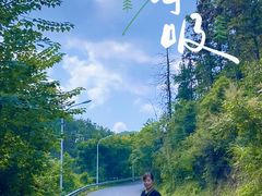 -青龙山国家森林公园
