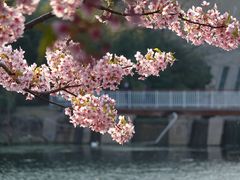 -新江湾城公园
