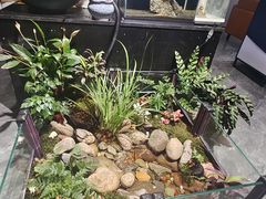 -苏州艺都古玩花鸟市场