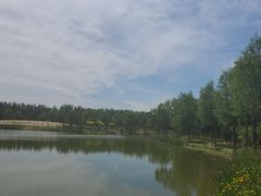 -东郊湿地公园