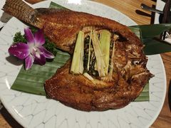 -紫滇源云南生态菜(丹凤街店)