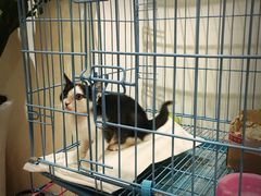 -猫的天空之城概念书店(杭州南宋御街店)