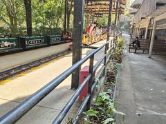 -海南槟榔谷黎苗文化旅游区