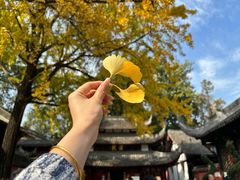 -成都市文殊院