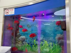 -雅悦齿科(顾村公园店)