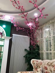 -艺米阳光Hair Salon