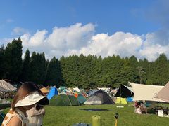 -武陵山森林公园