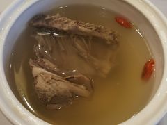 -食家鸽园