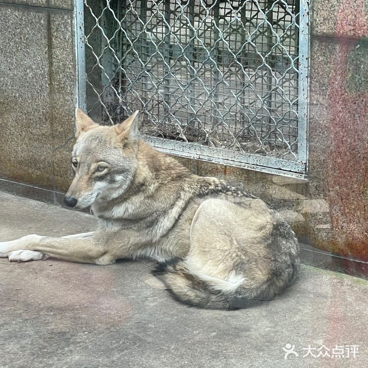 淡季的野生动物园还是不错的选择