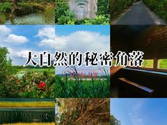 -麗枫酒店(深圳机场福永地铁站店)