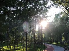 -大兴滨河森林公园