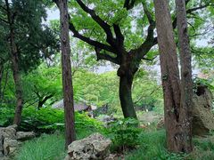 -叶家花园
