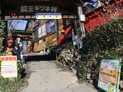 -宫城藏王狐狸村