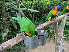 -南宫五洲植物乐园