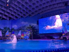 -海合安武汉极地海洋公园