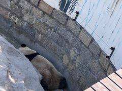 -上海野生动物园