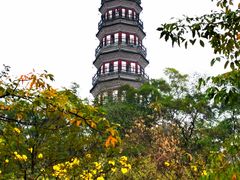 -顺峰山公园