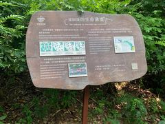 -华侨城湿地公园