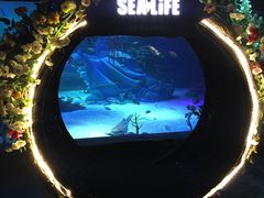 -沈阳海洋探索中心