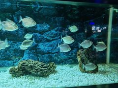 -秦皇岛新澳海底世界
