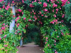 -郑州植物园