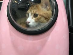 -宠颐生中康贝怡动物医院