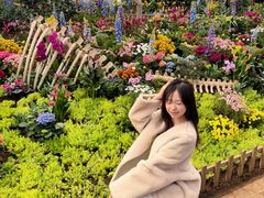 -沈阳植物园